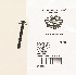   10200112 (10200112): Screw, 1/4"-20 x 2" Torx button head - NOS