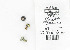       1309B (    1309B): Screw, 10-32 x 1/2" Phillips truss head, self sealing - NOS - FLT