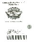   18666-01K (18666-01K)