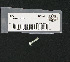       3037 (    3037): Screw, 10-24 x 3/4" hex button head - NOS - FXD, Dyna