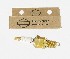   32367-04 (32367-04 / 32357-94): Gold spark plug - NOS - FL, Shovelhead EVO 1340cc 75-00. FX's