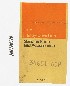   34651-65P (34651-65P): Spring, shifter locator ball - NOS - Aermacchi M-50. X-90 1972