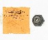   35047-53 (35047-53): Nut, mainshaft sprocket, with seal - NOS-K,KH,XL 54-70. KR,KHR,XR
