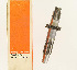   35612-70M (35612-70M): Countershaft - NOS - Aermacchi Baja MSR-100 '70-'72. AMF H-D