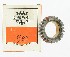   35751-79 (35751-79): Countershaft gear kit - 24 T - NOS - FX 80-83. FXST. FXWG