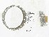   37567-41A (37567-41A): Retainer, clutch hub roller, w.rollers,NOS-Big Twins late'58-e'84