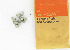       3867P (    3867P / N3807): Screw, 5 mm x 10 slotted flat countersunk head - NOS - Sprint