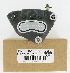   44023-00 (44023-00): Front caliper - right - NOS - Touring 00-02. FXD 00-02. XL1200S