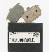   44209-82A (44209-82A): Brake pad kit - rear - NOS - FXR, XL XL '82-e'87. FXST.  FLST