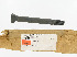   45711-51A (45711-51A): Bolt, fork bracket,adjustable fork, NOS, FL 50-84.Servi-car 58-73