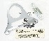   67497-04 (67497-04): 1.5" Single gauge bracket - NOS - Sportster XL '96-'03