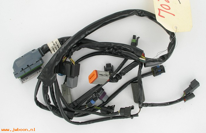   70233-02 (70233-02): Wiring harness - EFI - NOS - Touring 02-03