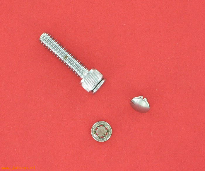   94090-91T (94090-91T): Allen screw plug, .250 for 1/4" Allen screws -NOS - Universal fit