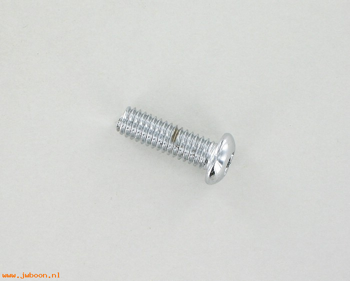   94601-98 (94601-98): Torx button head screw  5/16"-18 x 1" - NOS