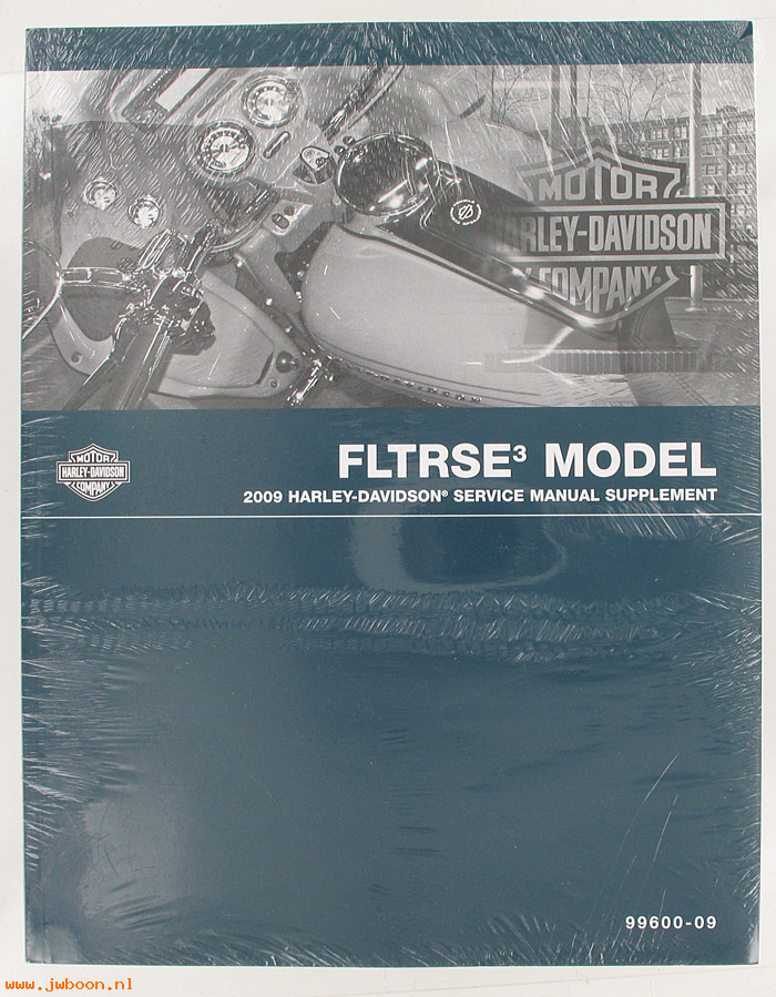   99600-09 (99600-09): FLTRSE service manual supplement 2009 - NOS