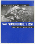   99949-08YI (99949-08YI): Buell electrical diagnostic manual 2008, italian - NOS