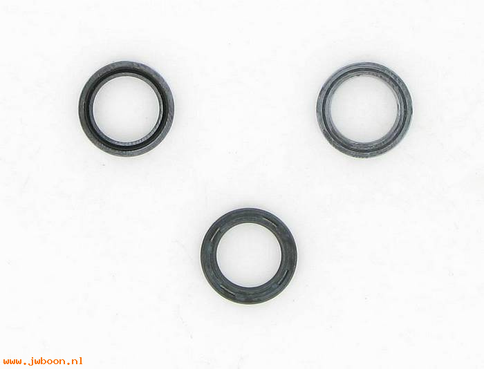 R     12036 (   12036): Oil seal, oil pump outer plate - Sportster Ironhead XL 77-82