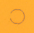 R  45842-77 (45842-77): Oil seal retaining ring, top, slider tube - FL, FLT, FXST, FXWG