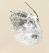 R  67763-92A (67763-92A): Headlamp lens w.bulb/boot & position lamp "E4" 5-3/4" XL,FXST,FXD